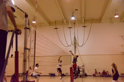 DSC_1783 (Large).JPG